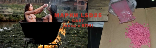 прущие грибы Абаза