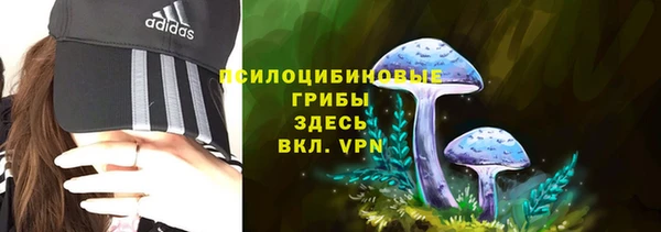 бошки Алзамай