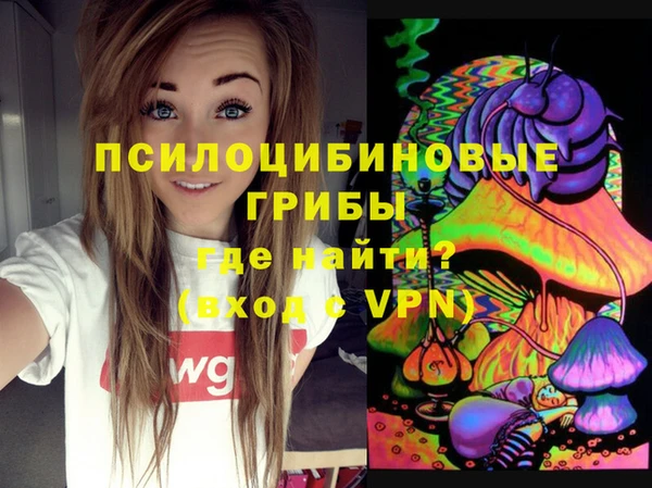 прущие грибы Абаза