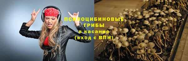 бошки Алзамай