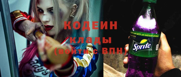 прущие грибы Абаза