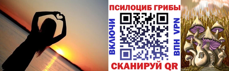 MEGA   Тотьма  Псилоцибиновые грибы Cubensis  где купить наркоту 